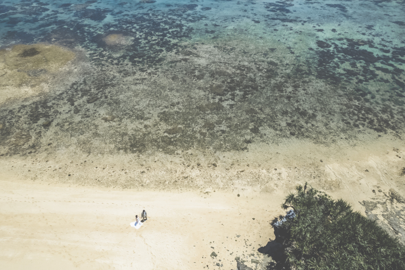 上空からの景色