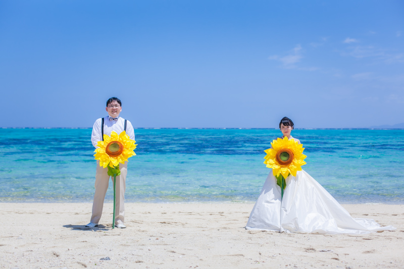 巨大ひまわり！