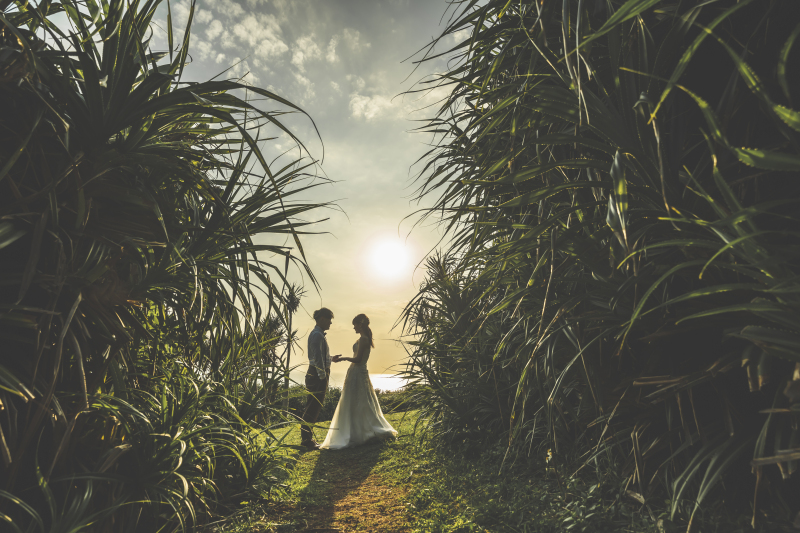 手を取り合って