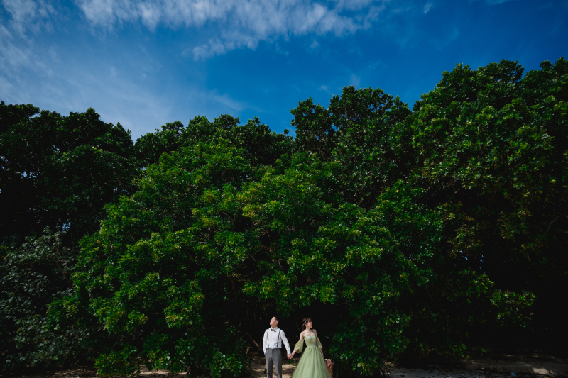 青空と深緑に見守られているかのようなおふたり。