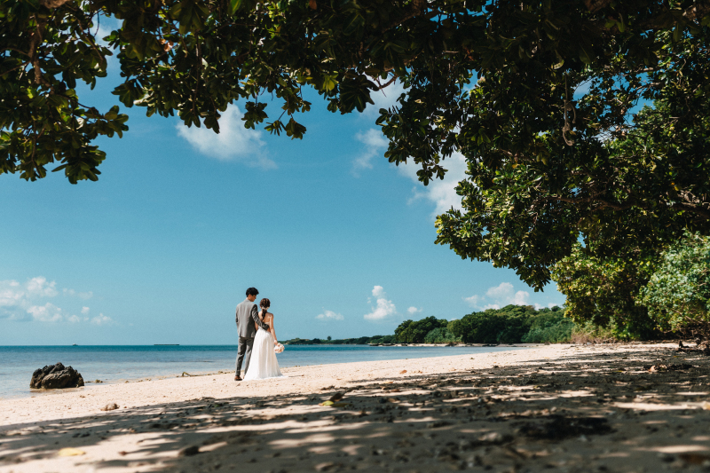 空と海のブルーと木々のグリーンのコントラスト