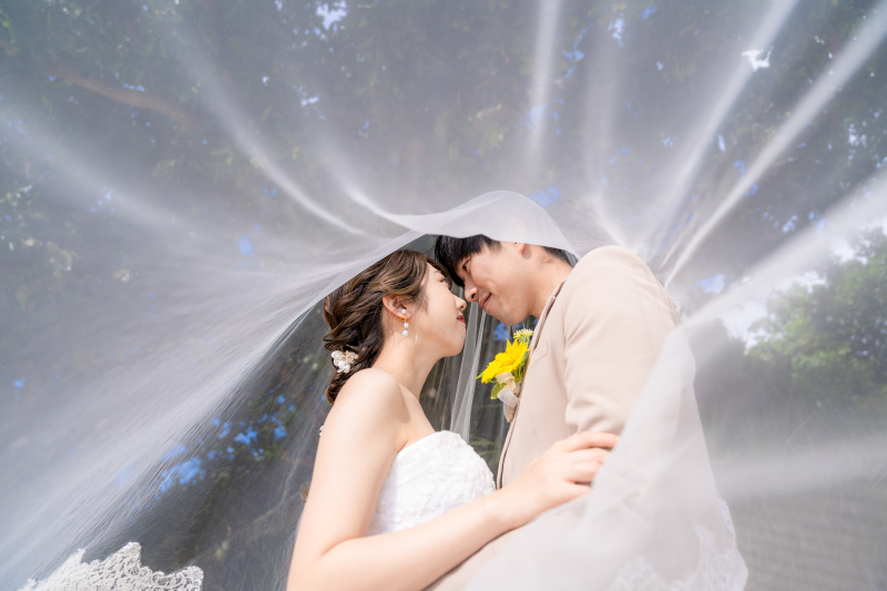 ベールに包まれて