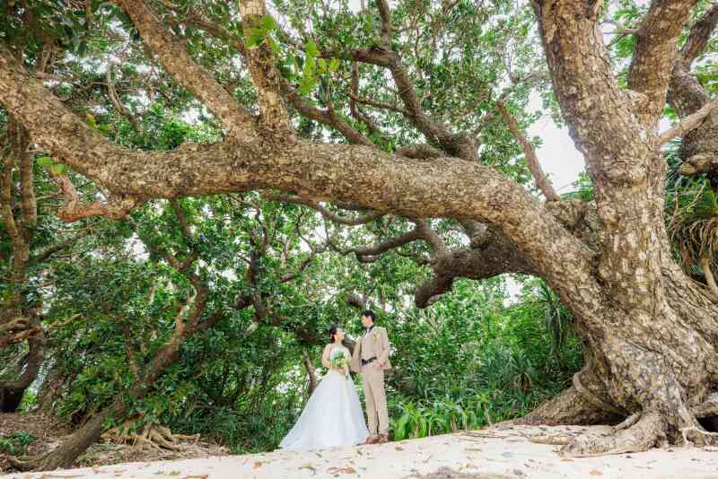 自然に囲まれて