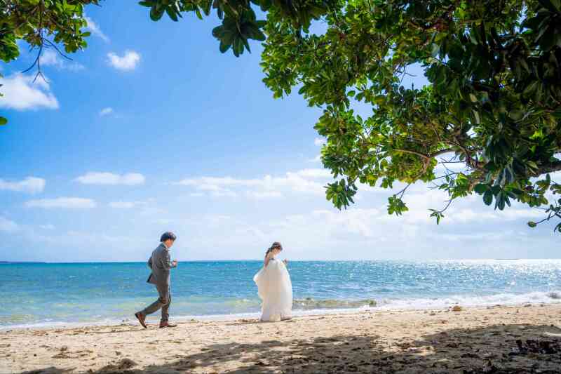 石垣島を満喫１DAYツアー
