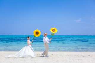 突如！巨大なひまわりが！？