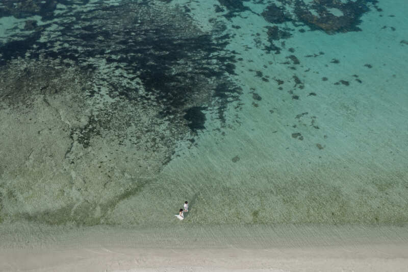 水色の景色の中のおふたり