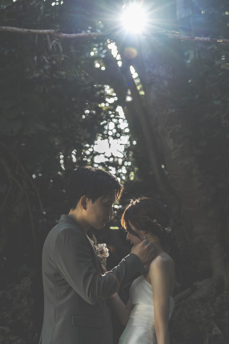 光に照らされて