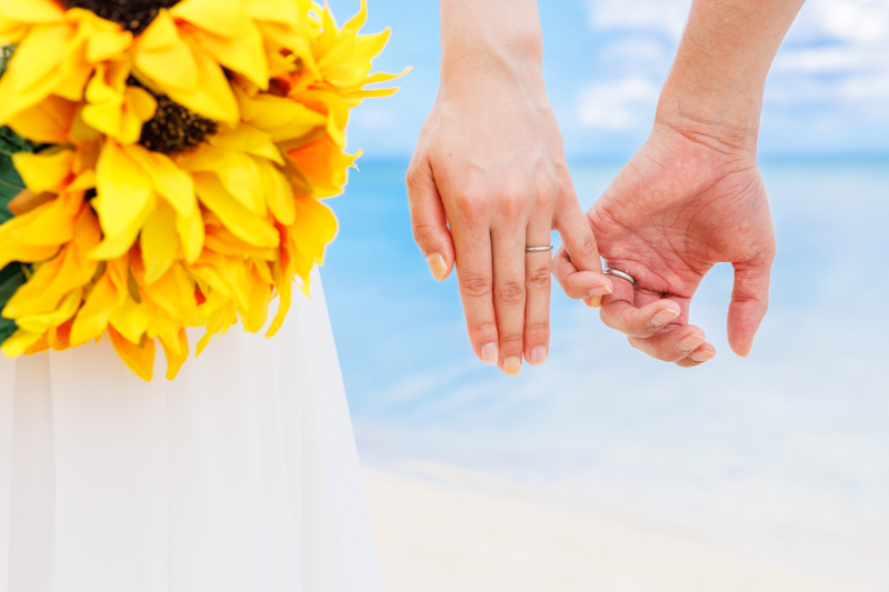 ポストカードみたい