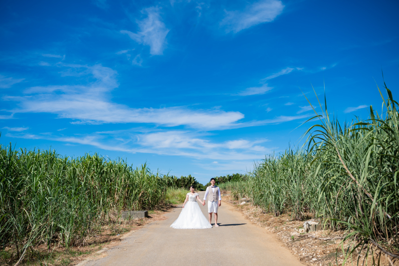 絵本みたい！天然ビーチ＋大自然