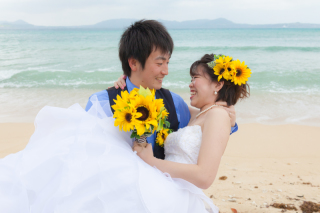 ヒマワリのお花