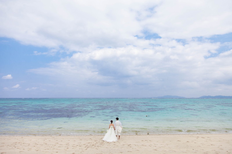 まるで絵に描いたような一枚,