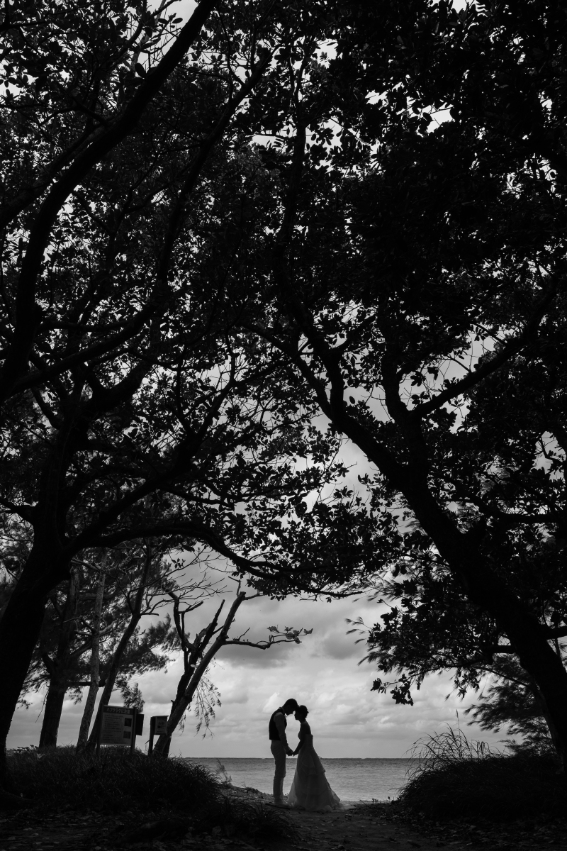 雰囲気のある1枚