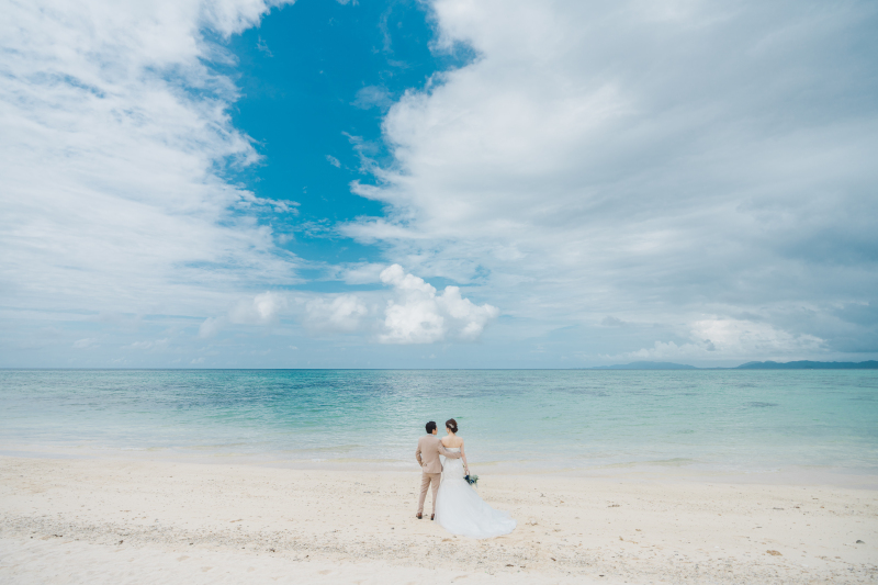 バックショット