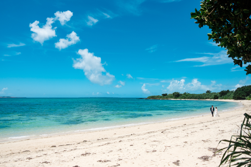 お散歩ショット