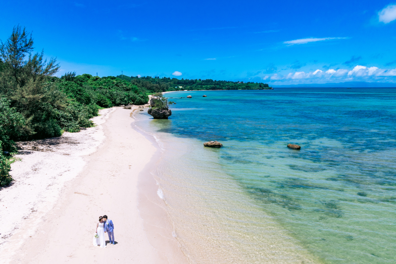 オプション紹介