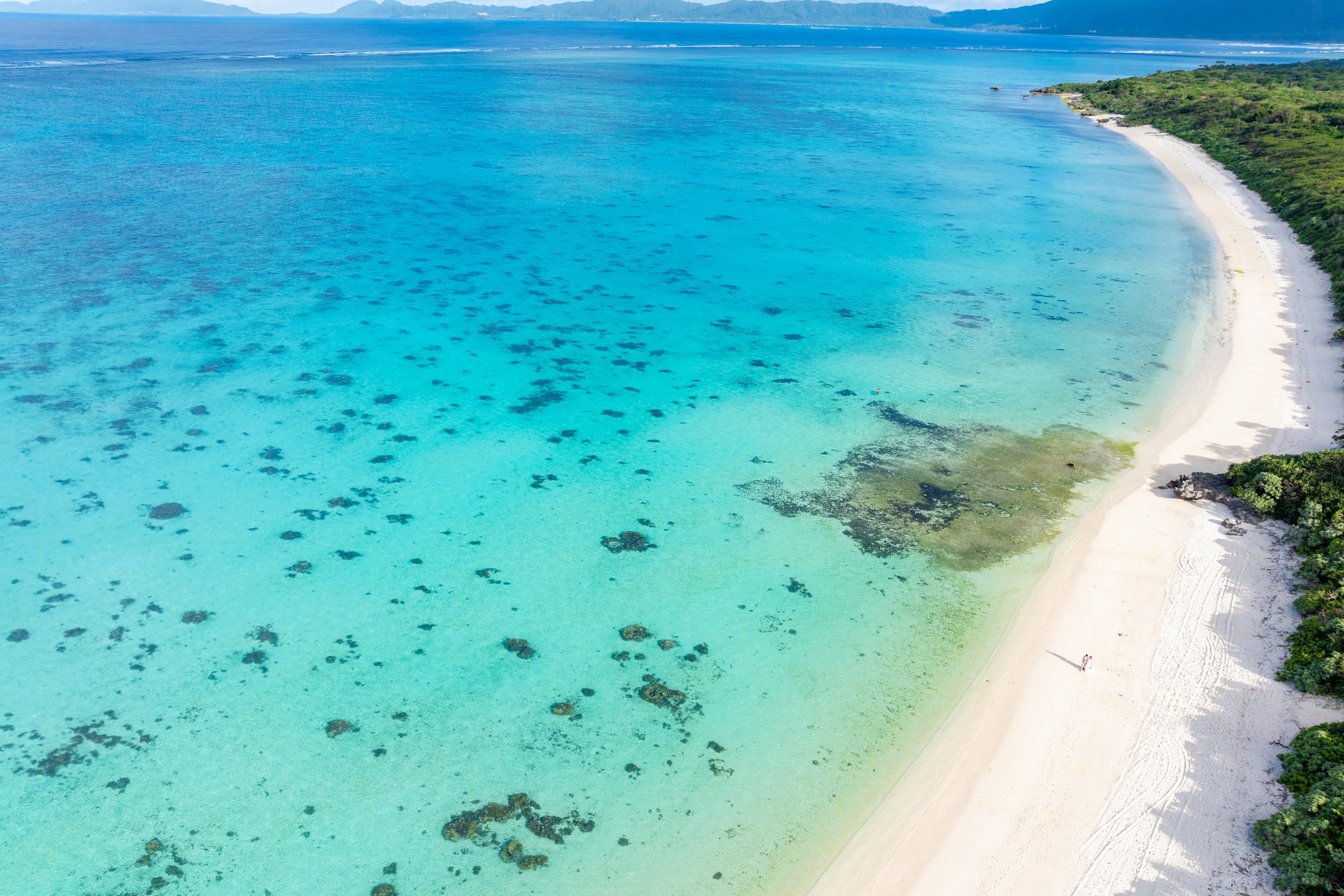 step1 事前来店・お問合せ