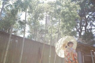 春の暖かな日差しの中