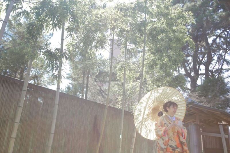 春の暖かな日差しの中