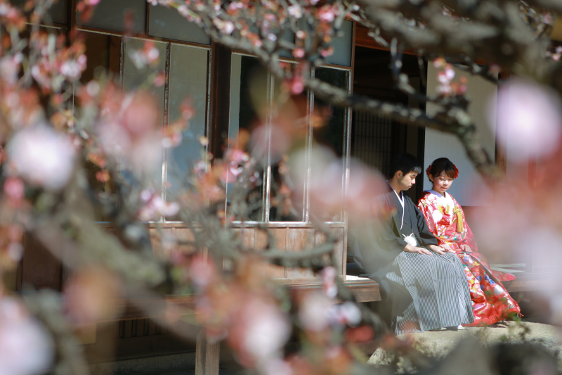 六華苑　春のロケーション