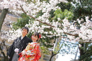 泗翠庵　桜のロケーション