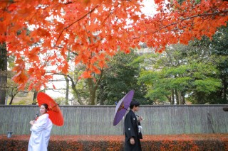 泗翠庵　紅葉ロケーション
