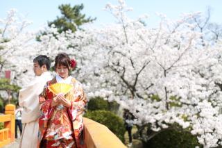 九華公園　桜の和装ロケーション