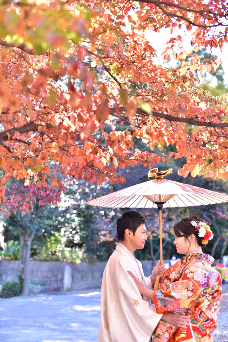 赤いお着物と紅葉と