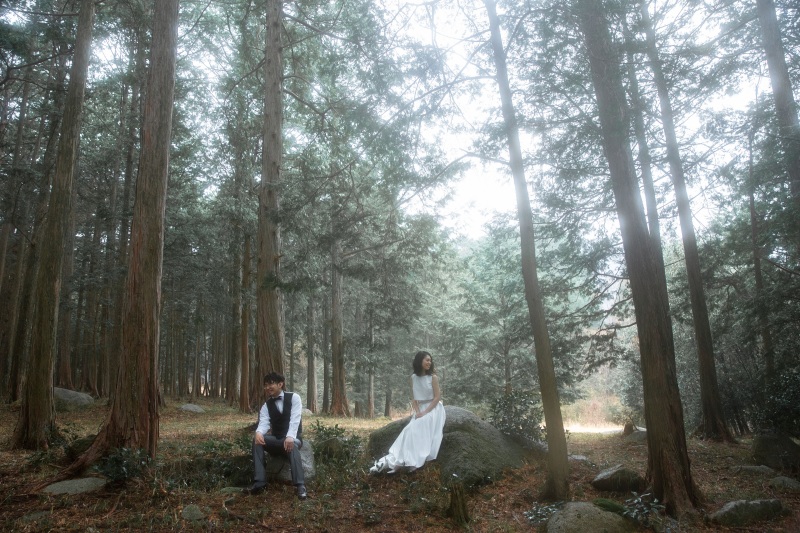 森林に囲まれて