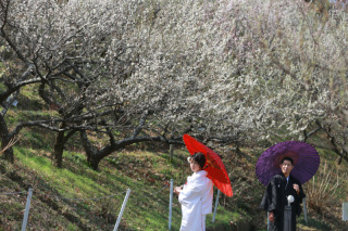 和洋装　ロケーション