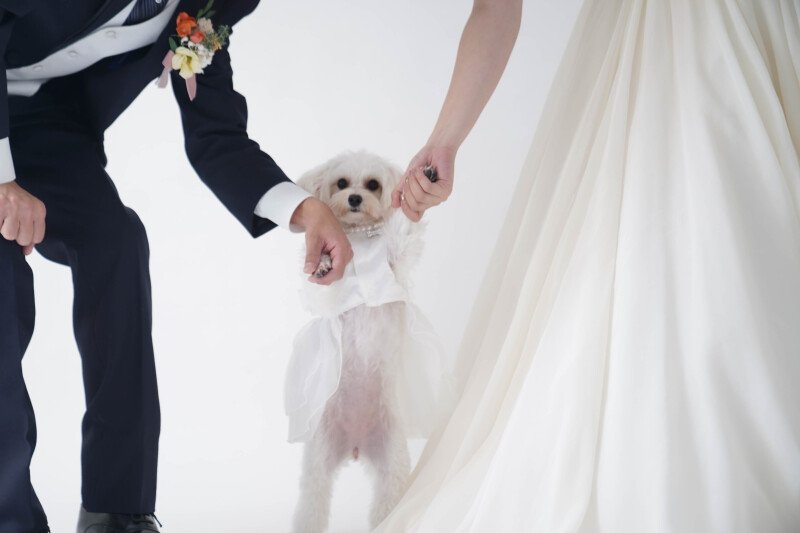 人生伴走型フォトスタジオでふたりの人生を結ぶ写真を