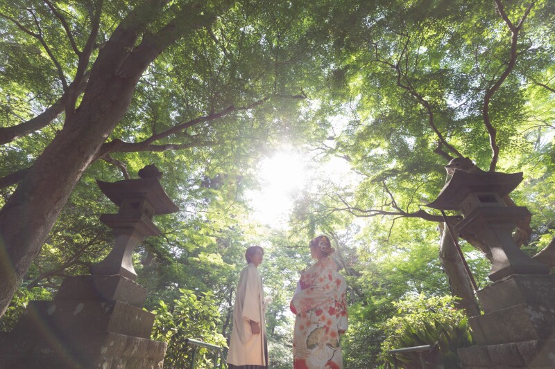 新緑ロケーションフォトキャンペーンCプラン◆&yen;45,000でデータ20カット◆サクッとミニロケプラン