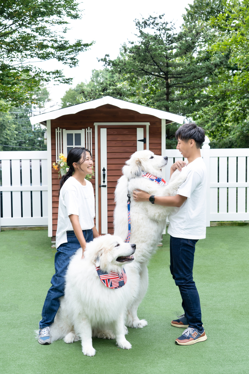 看板犬とモフモフタイム♪