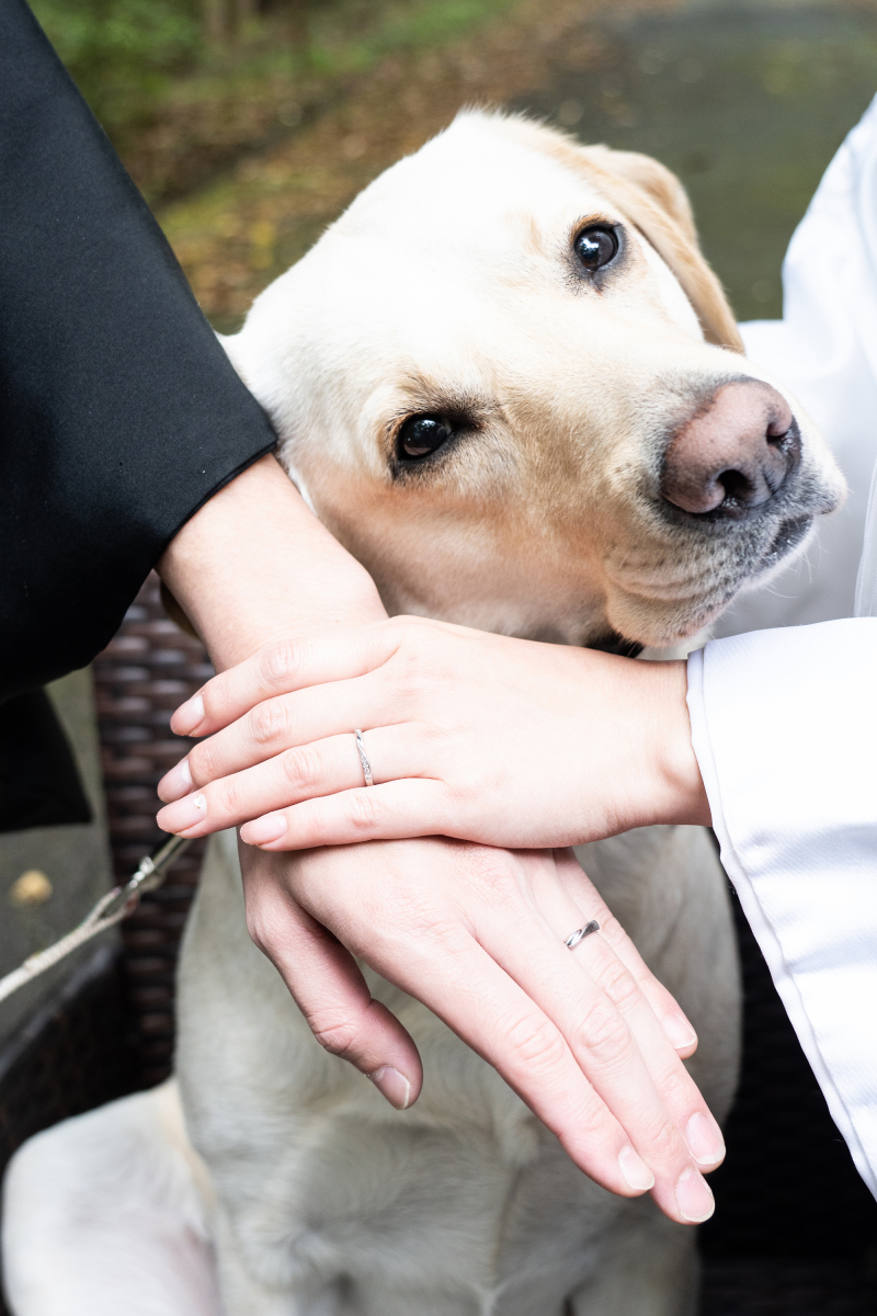 いつまでも、一緒に。