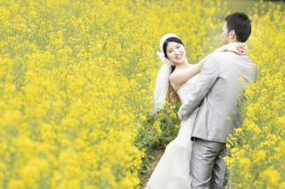 菜の花ロケーションと看板犬