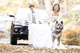 大好きな愛犬も一緒に♡