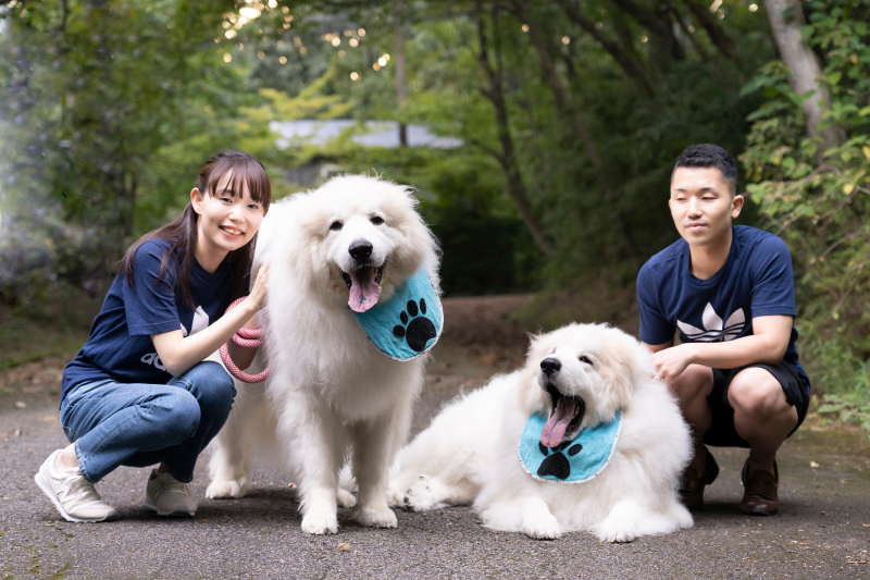 看板犬と一緒に♪