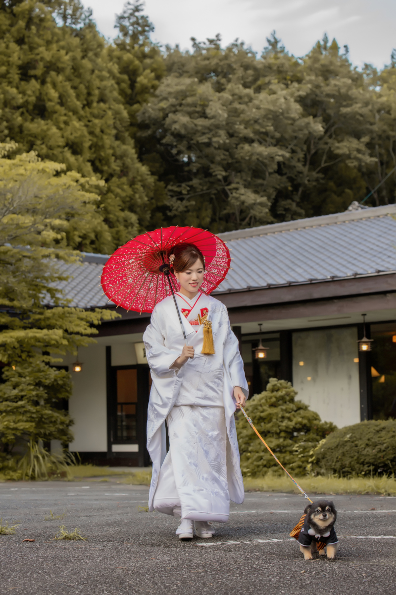 普段のように元気よくお散歩