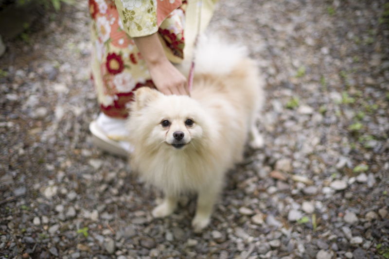 ソロショット☆