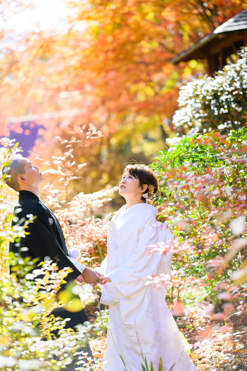紅葉撮影まだ間に合います!