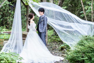 緩やかな、秋の風