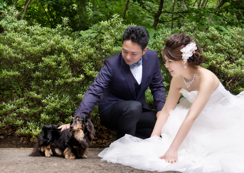 愛犬と一緒にロケ！