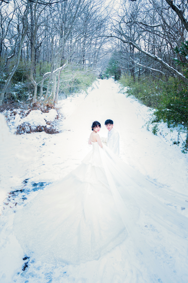 Snow Road