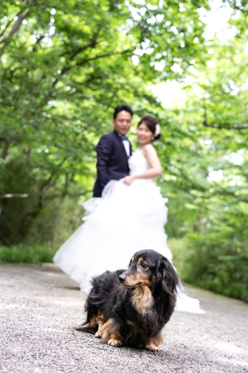 二人を守るんだワンッ！