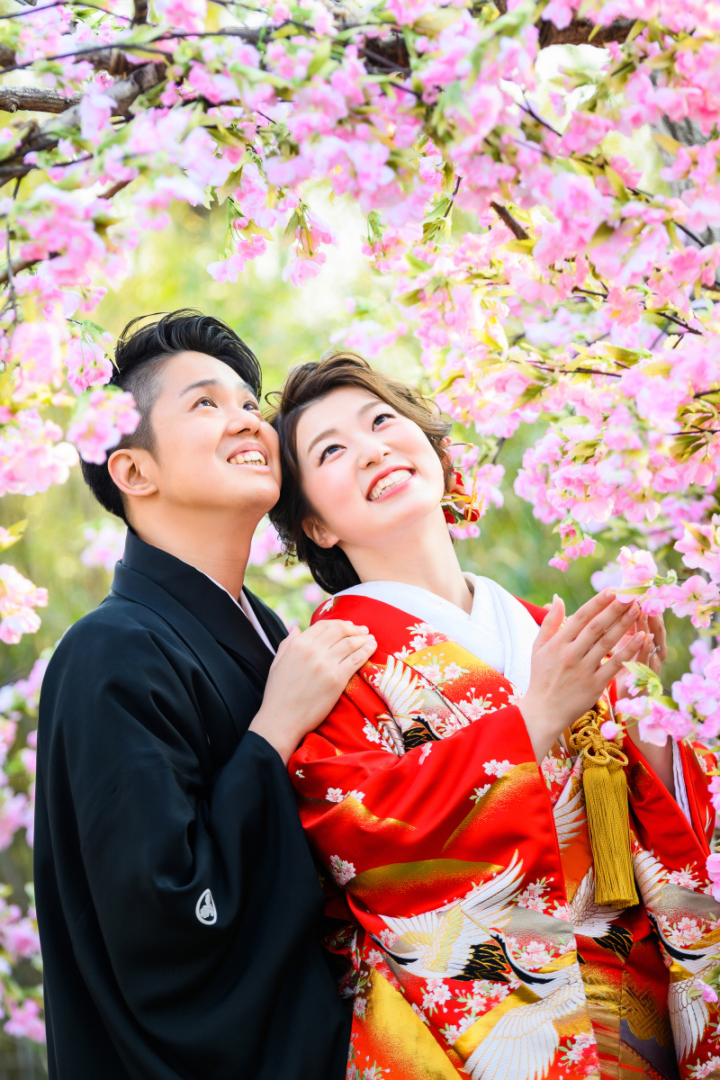 桜の下で