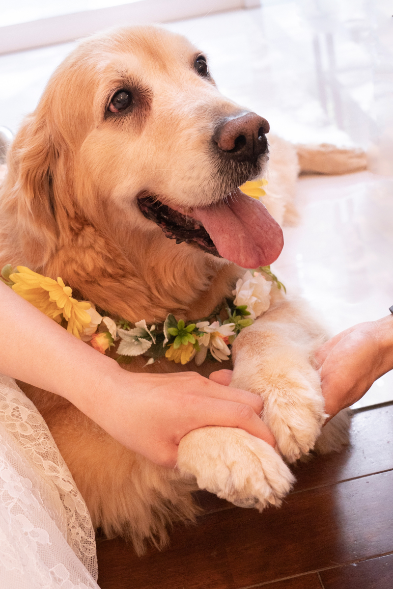 いつも見守っているよ