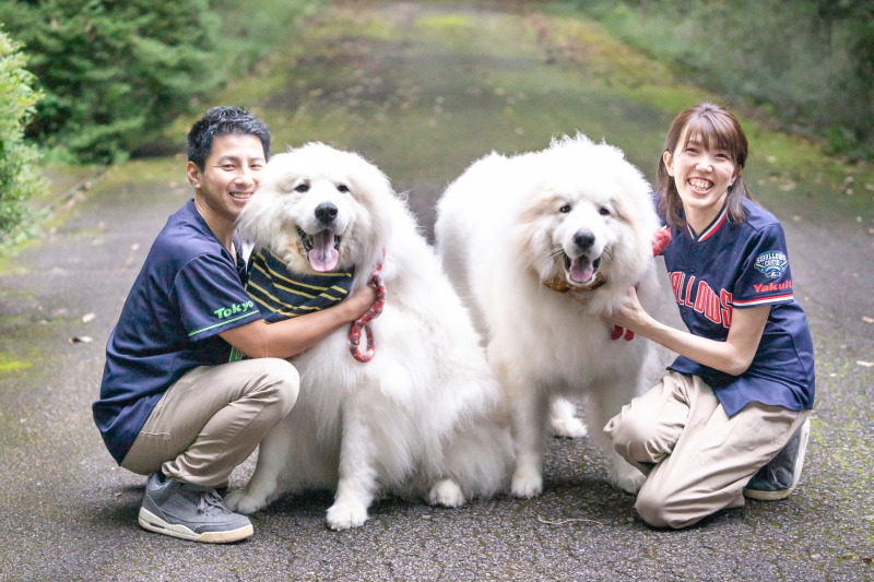 My Style 看板犬