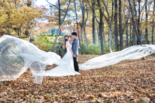 煌めく紅葉の中で