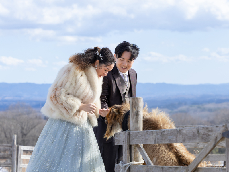 牧場でのんびり