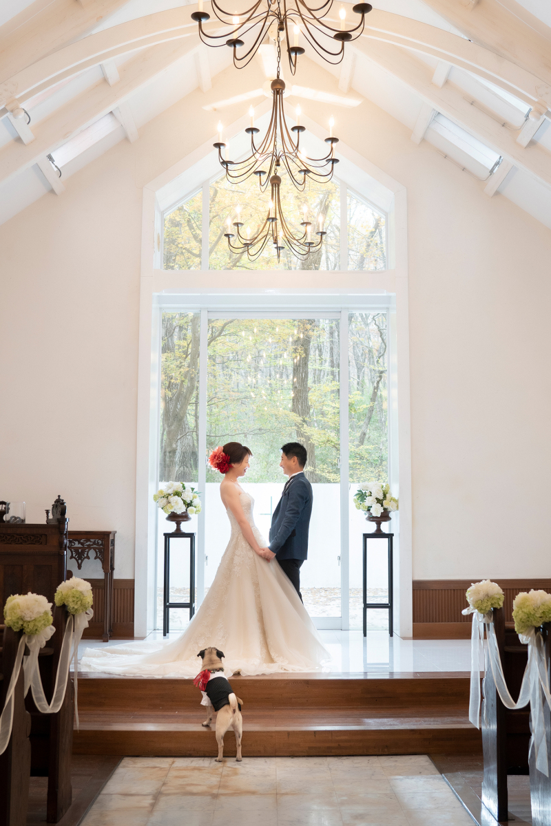 ワンちゃんとともに