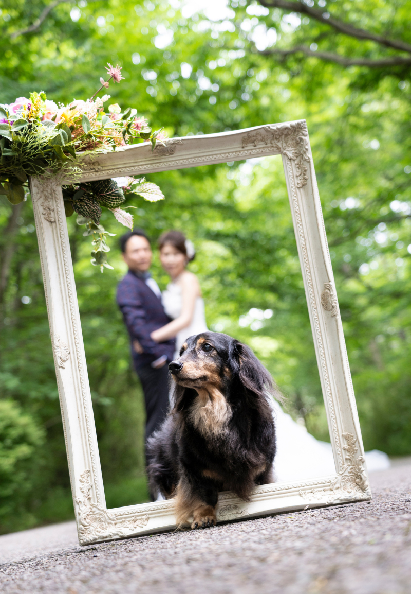 今度はみんな一緒だワンッ！